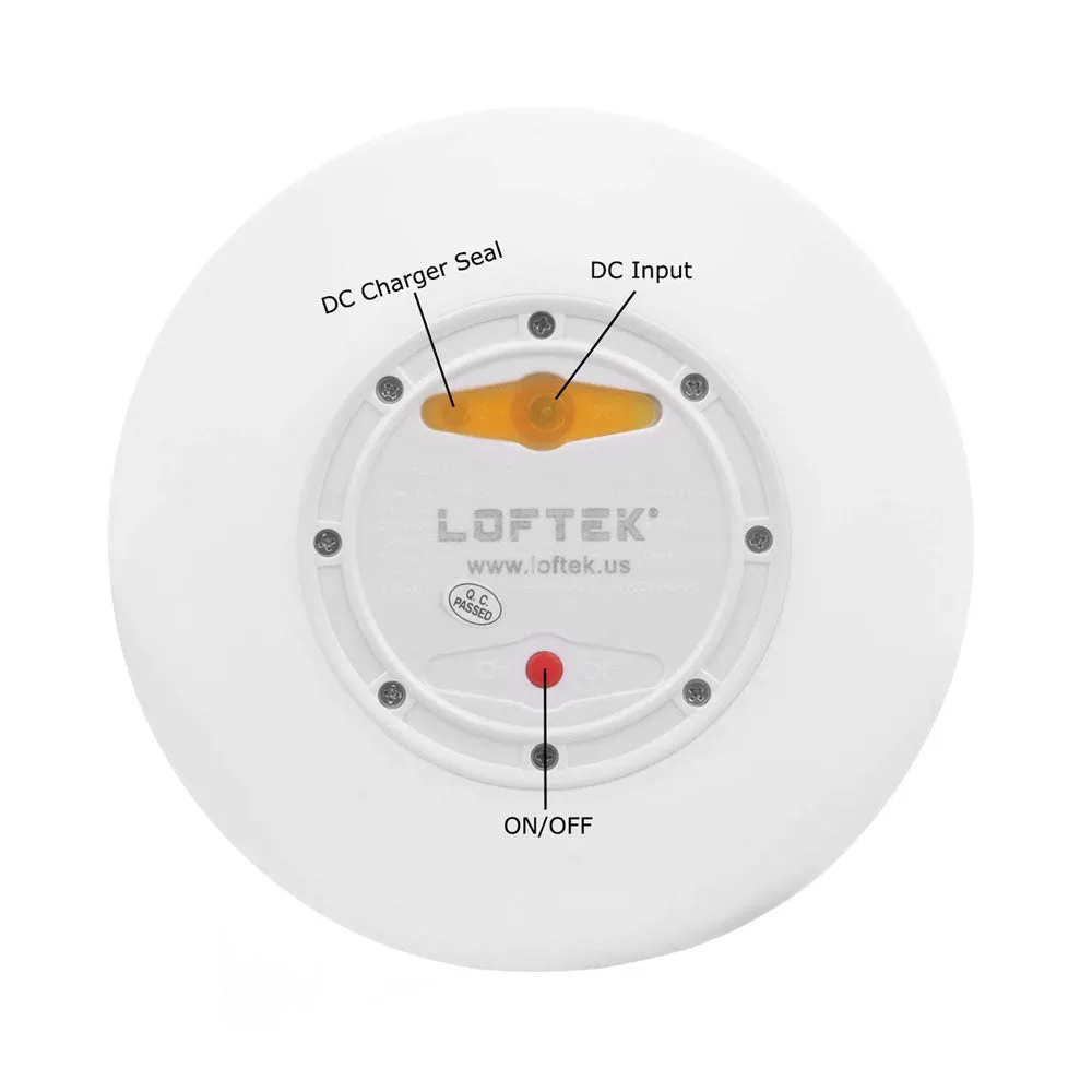 20-inch LED Ball Light