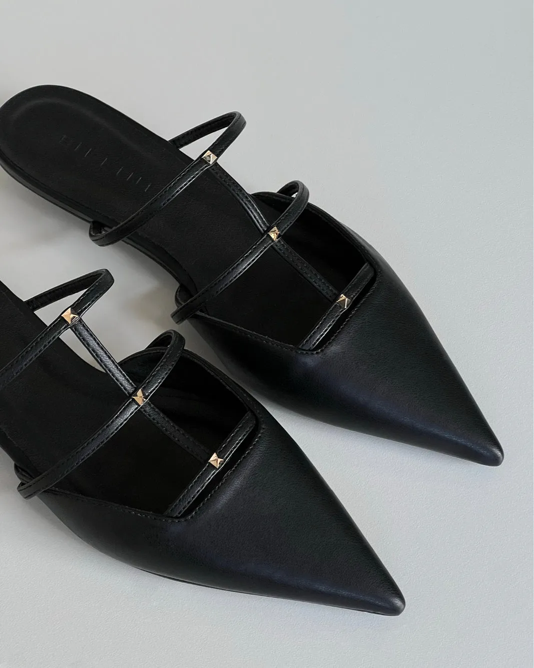 CARVER - BLACK Team Meet