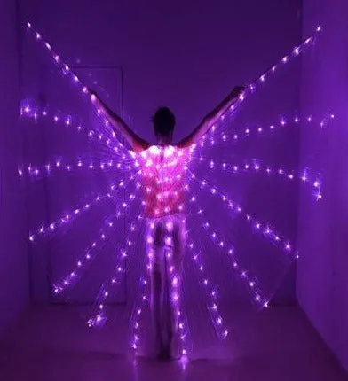 Adult LED Wings