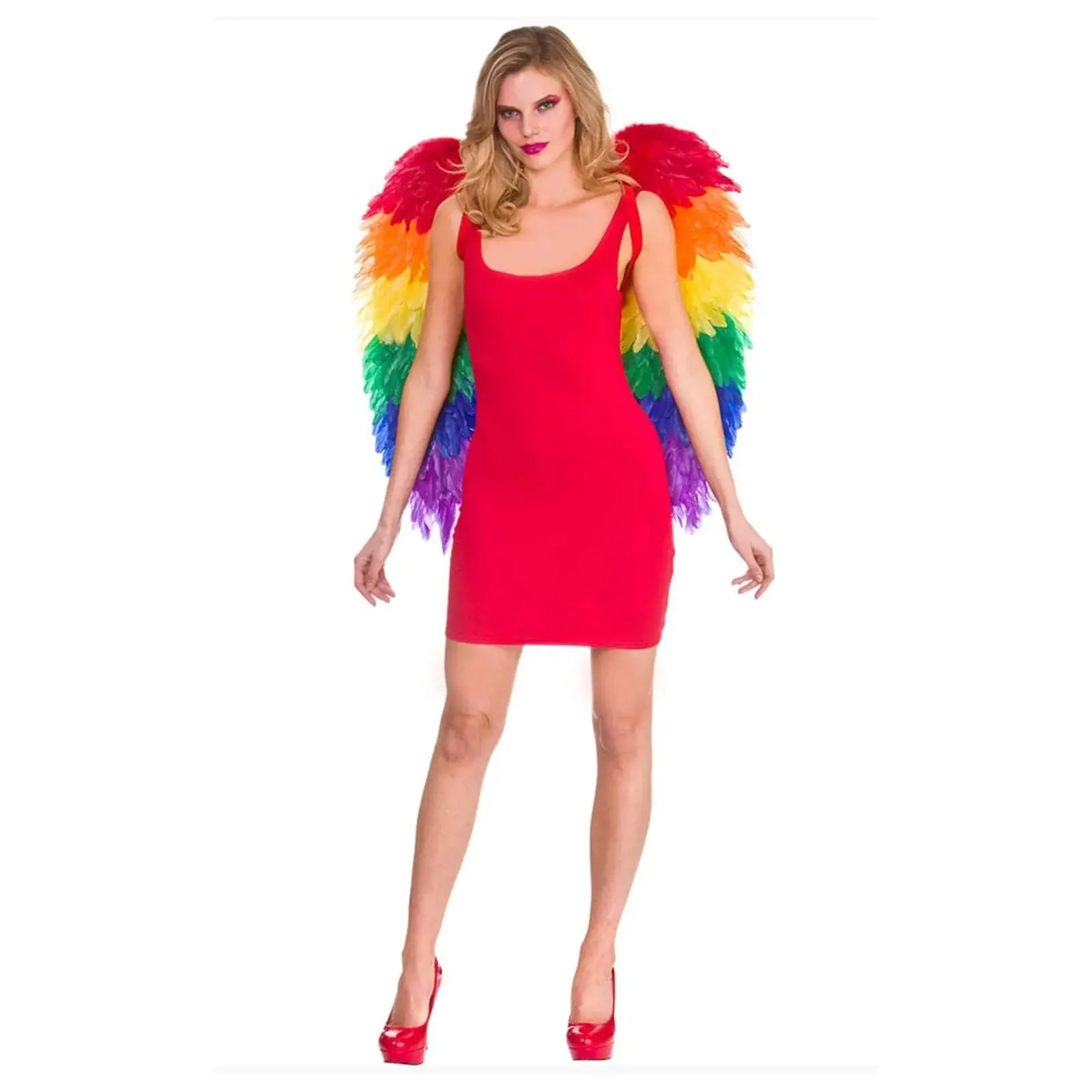 Adults Large Rainbow Feather Wings Pride Festival 75cm