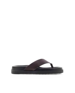 Main Path AILA - DARK CACAO