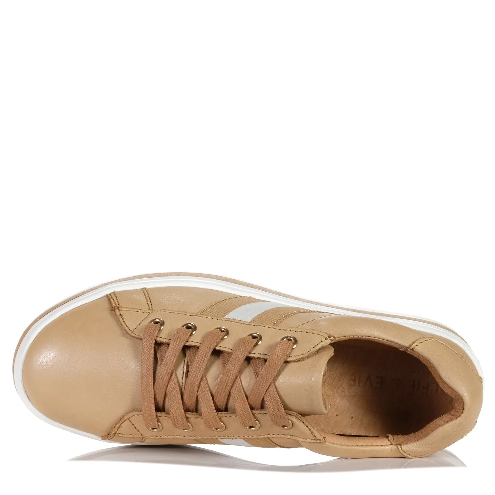Alfie & Evie Pepe Camel/Camel Multi Stripe
