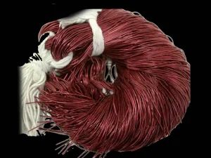 Burgundy Red Metallic Dabka / French Wire