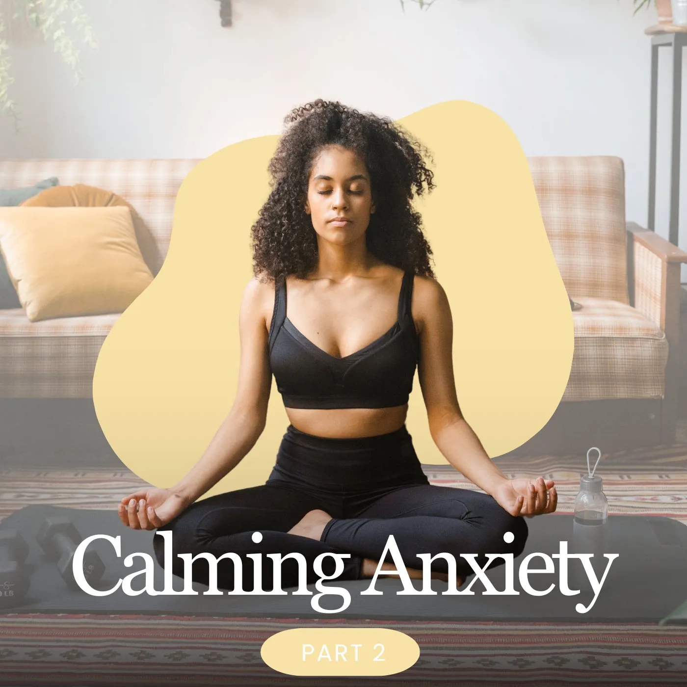 Calming Anxiety Guided Meditation Part 2