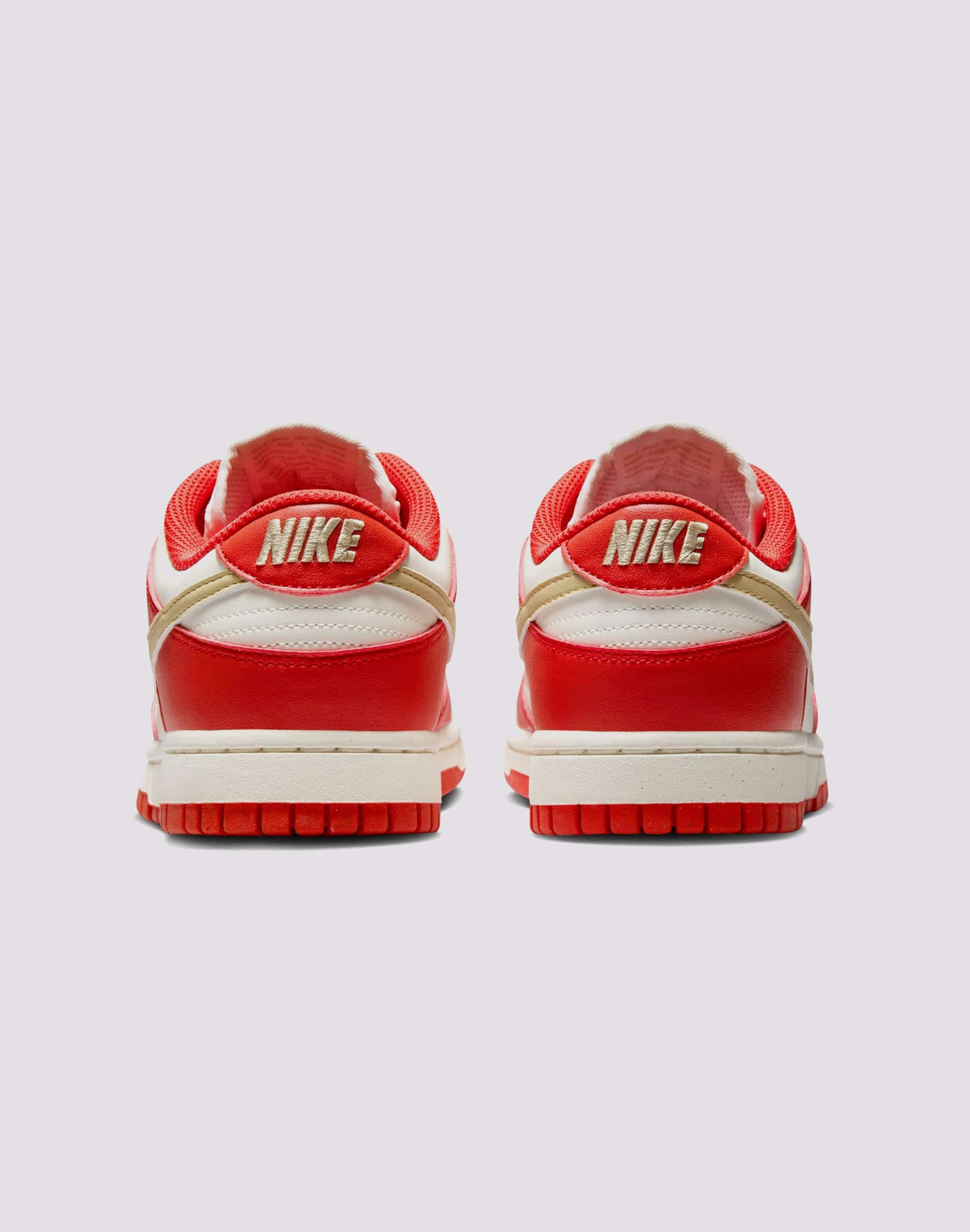 Recycled Rubber Composite Family Time Nike Dunk Low Next Nature