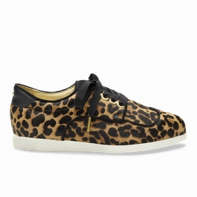 Harbor Lights Move True Wanderlust Oxford