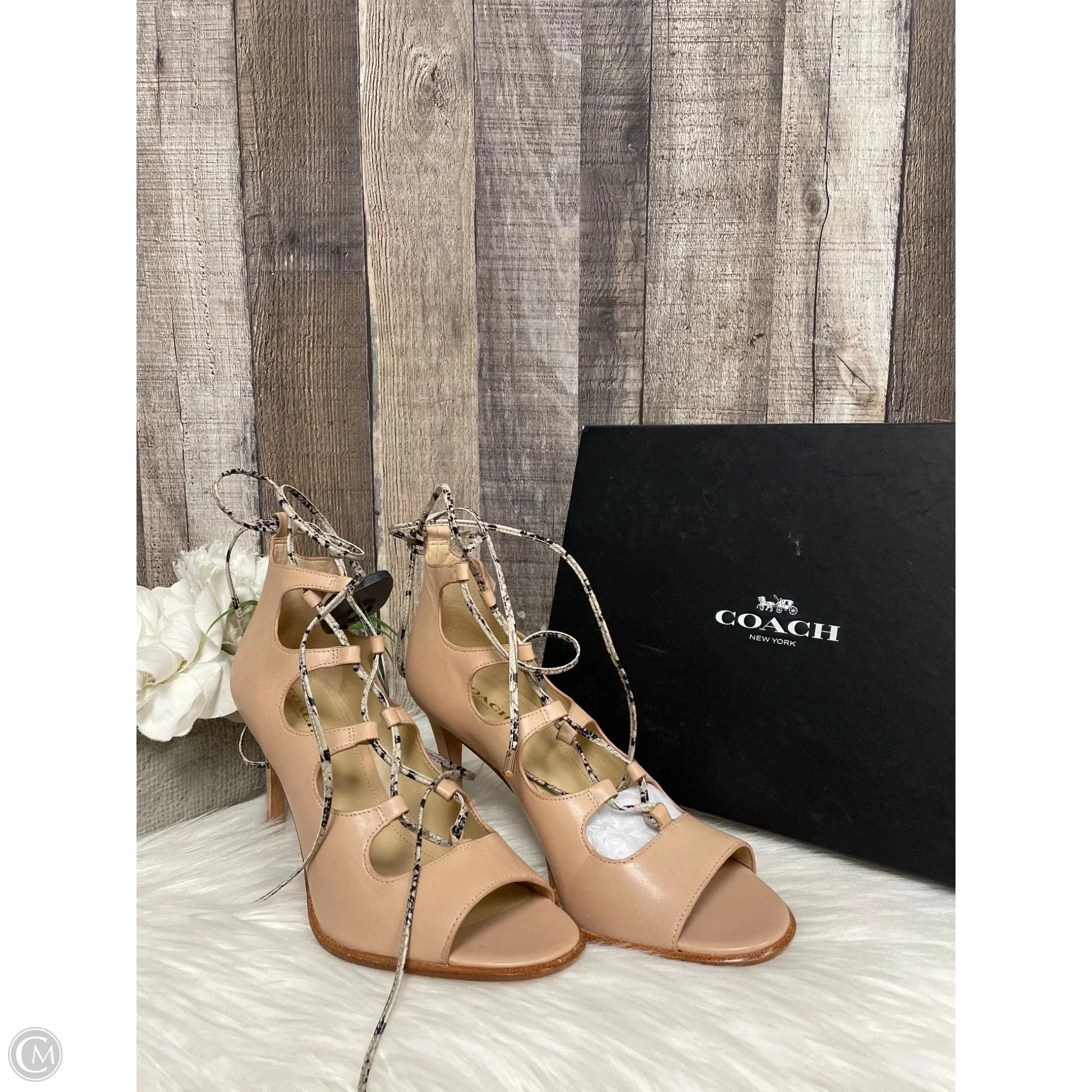 Power Base Ocean Walk Shoes Designer By Coach In Tan, Size: 9