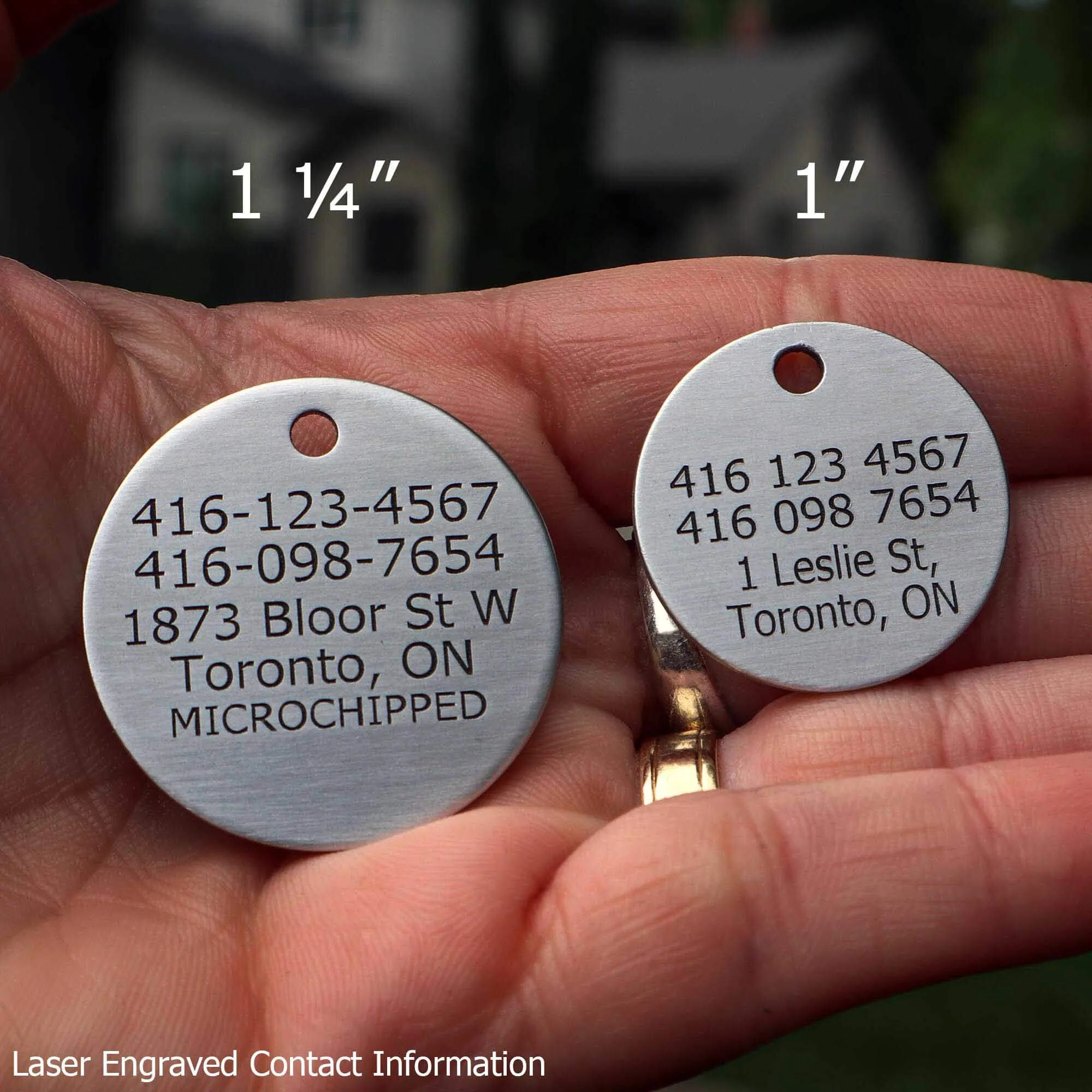 Deeply Engraved Dog Tags - Beach Design