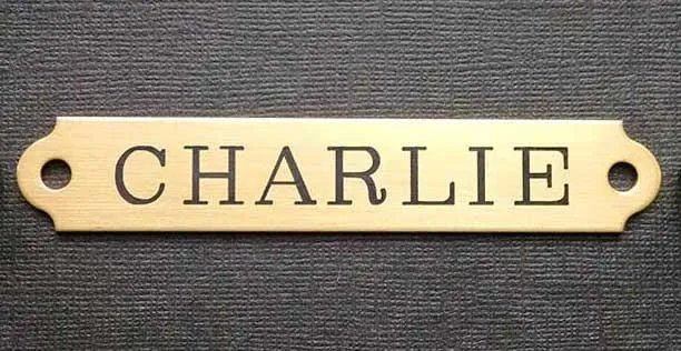 Engraved HALTER PLATE LARGE THICK 4 1/4" x 3/4" x .050" Solid Brass or Nickel Silver Notched or Scalloped Corners Horse Name Plate starting at