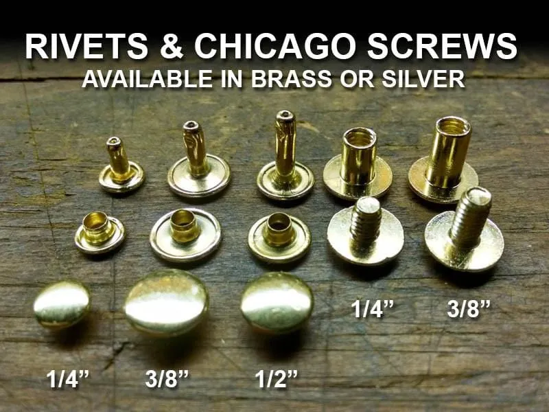 Engraved HALTER PLATE LARGE THICK 4 1/4" x 3/4" x .050" Solid Brass or Nickel Silver Notched or Scalloped Corners Horse Name Plate starting at