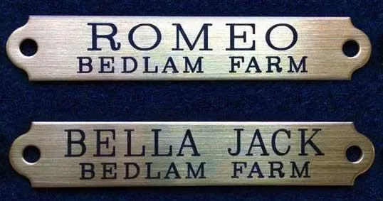 Engraved HALTER PLATE LARGE THICK 4 1/4" x 3/4" x .050" Solid Brass or Nickel Silver Notched or Scalloped Corners Horse Name Plate starting at