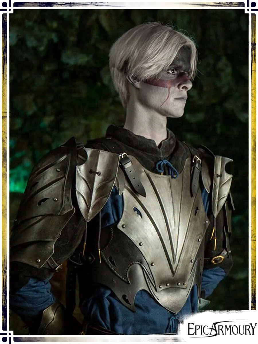 Eventide Armour Complete Set