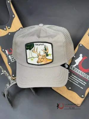 EXOTIC ANIMAL DEER GREY