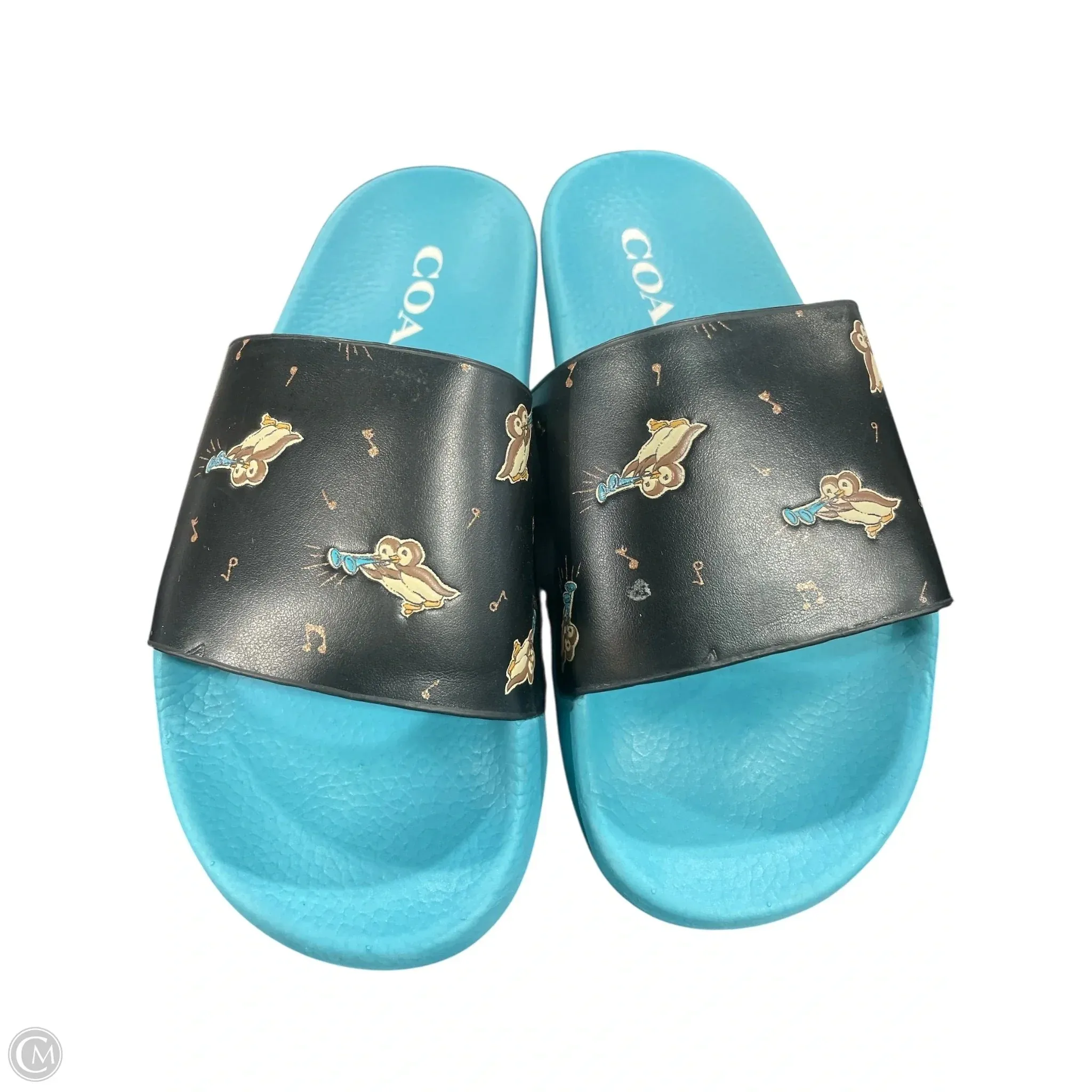 Swim Edge Shoes Designer By Coach In Multi-colored, Size: 6