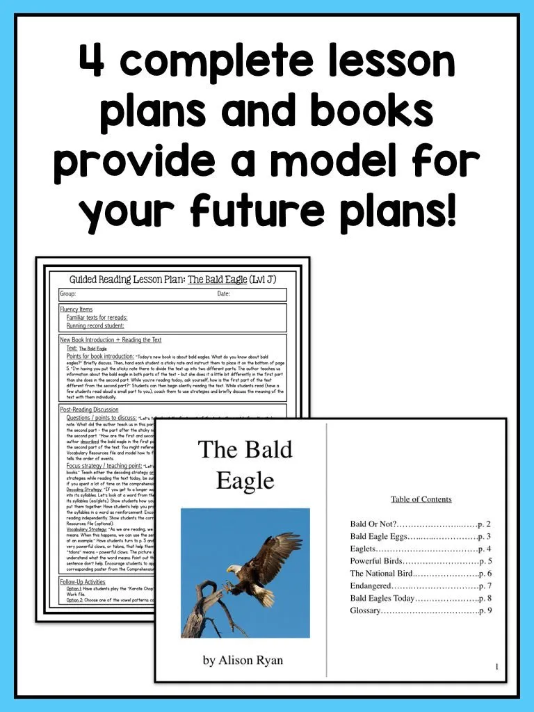 Guided Reading Activities and Lesson Plans for Level J