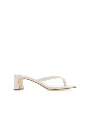 GULLIVER - BONE Summer Spark