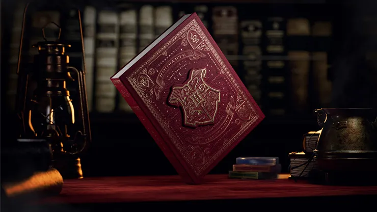 Harry Potter Box Sets by theory11