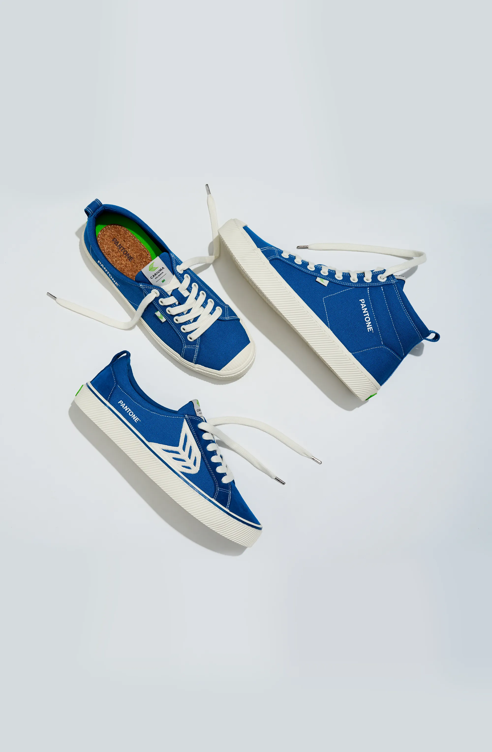 IBI Low Pantone Classic Blue Knit Sneaker Women