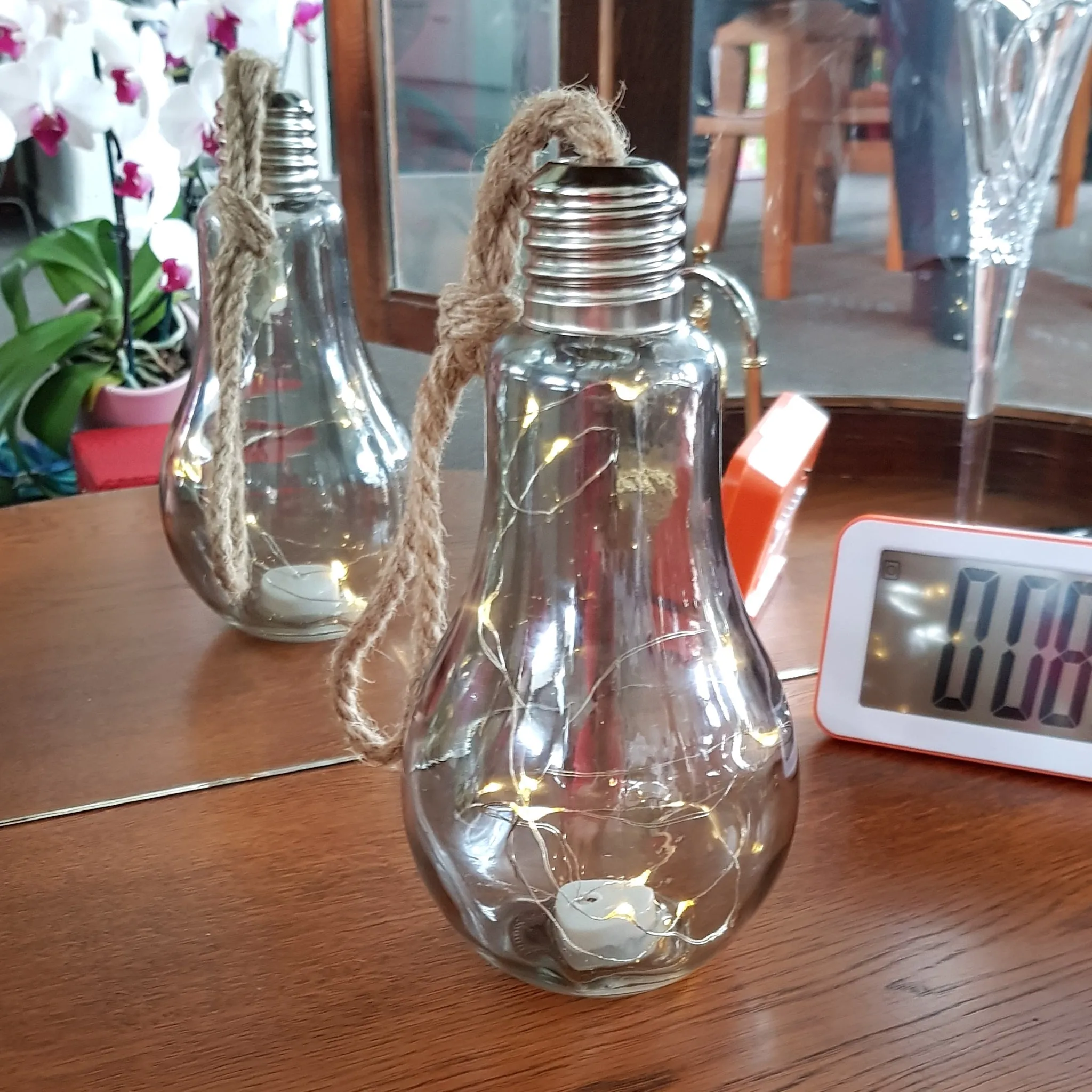 LED Light Globes TG201 Large