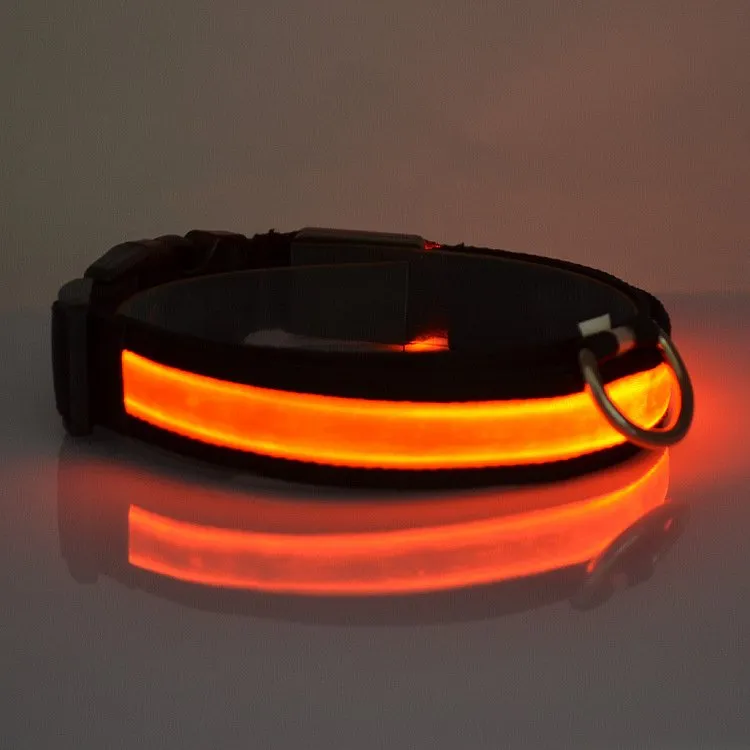 LED Light Up Dog Collar