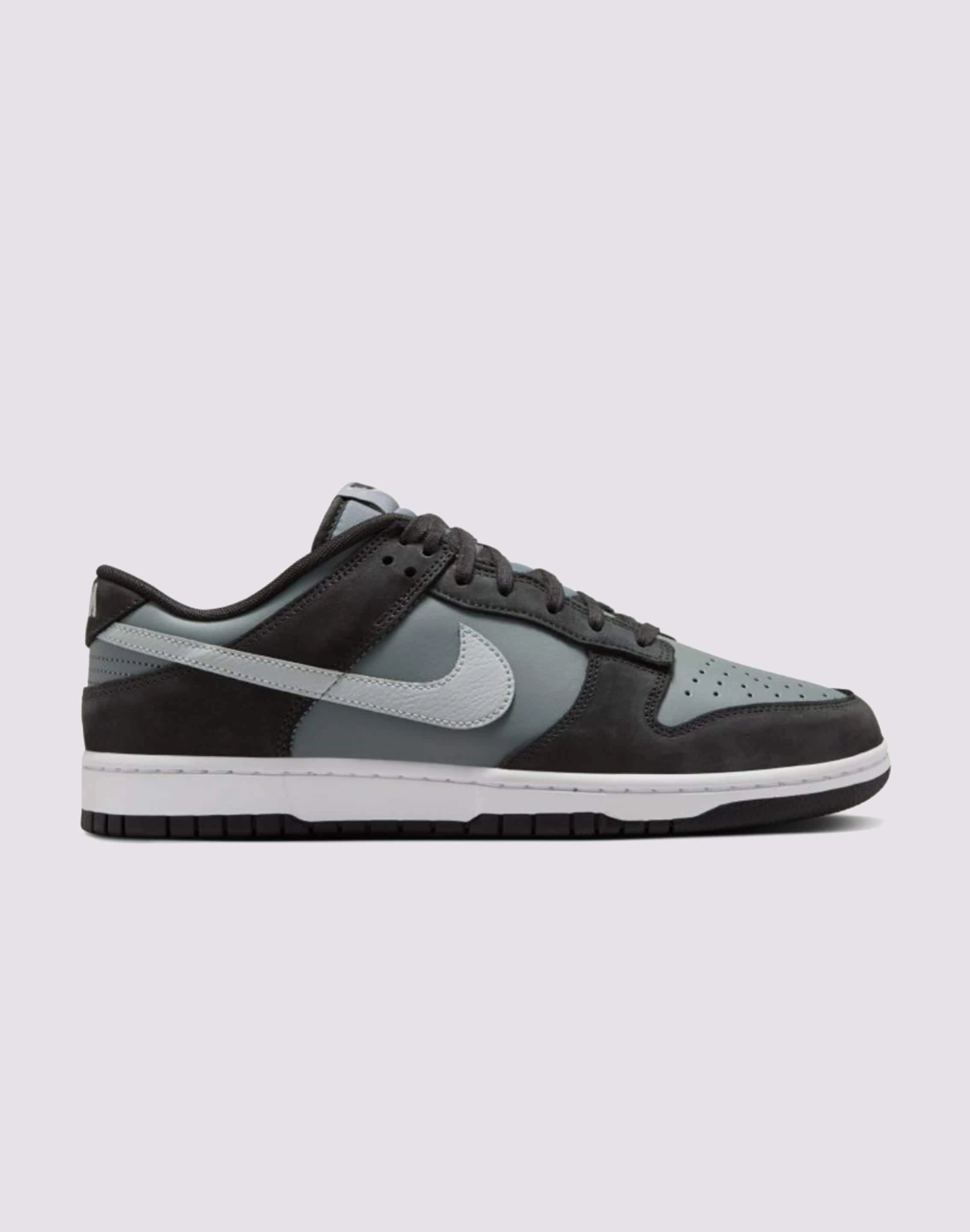 Arch Support Health Focused Ergonomic Heel Cup Nike Dunk Low