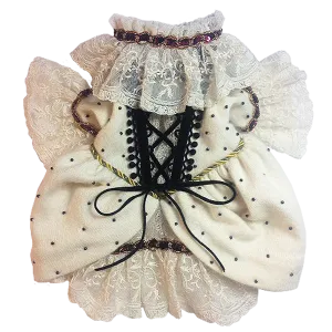 Marie Antoinette Dress