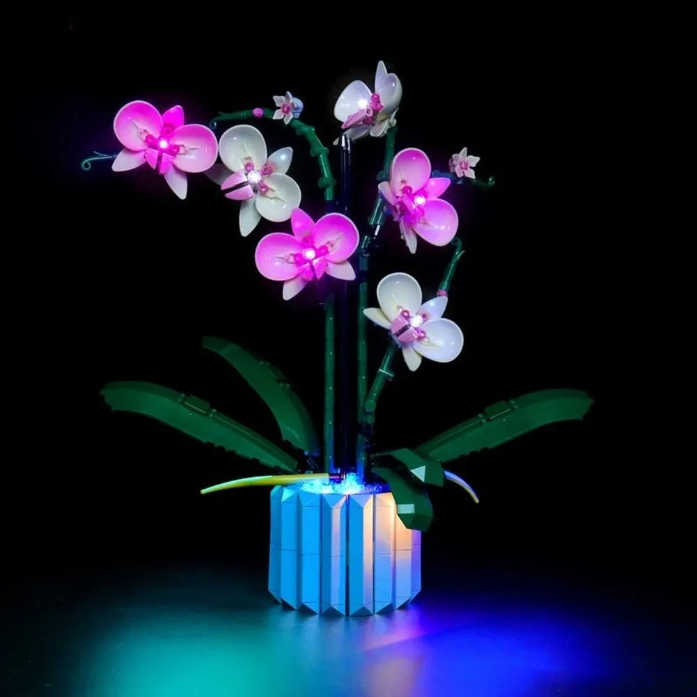 MOC  Compatible  LED Light Kit for 10311 Ohid Building Blocks Set (NOT Include the Model) Bricks toys