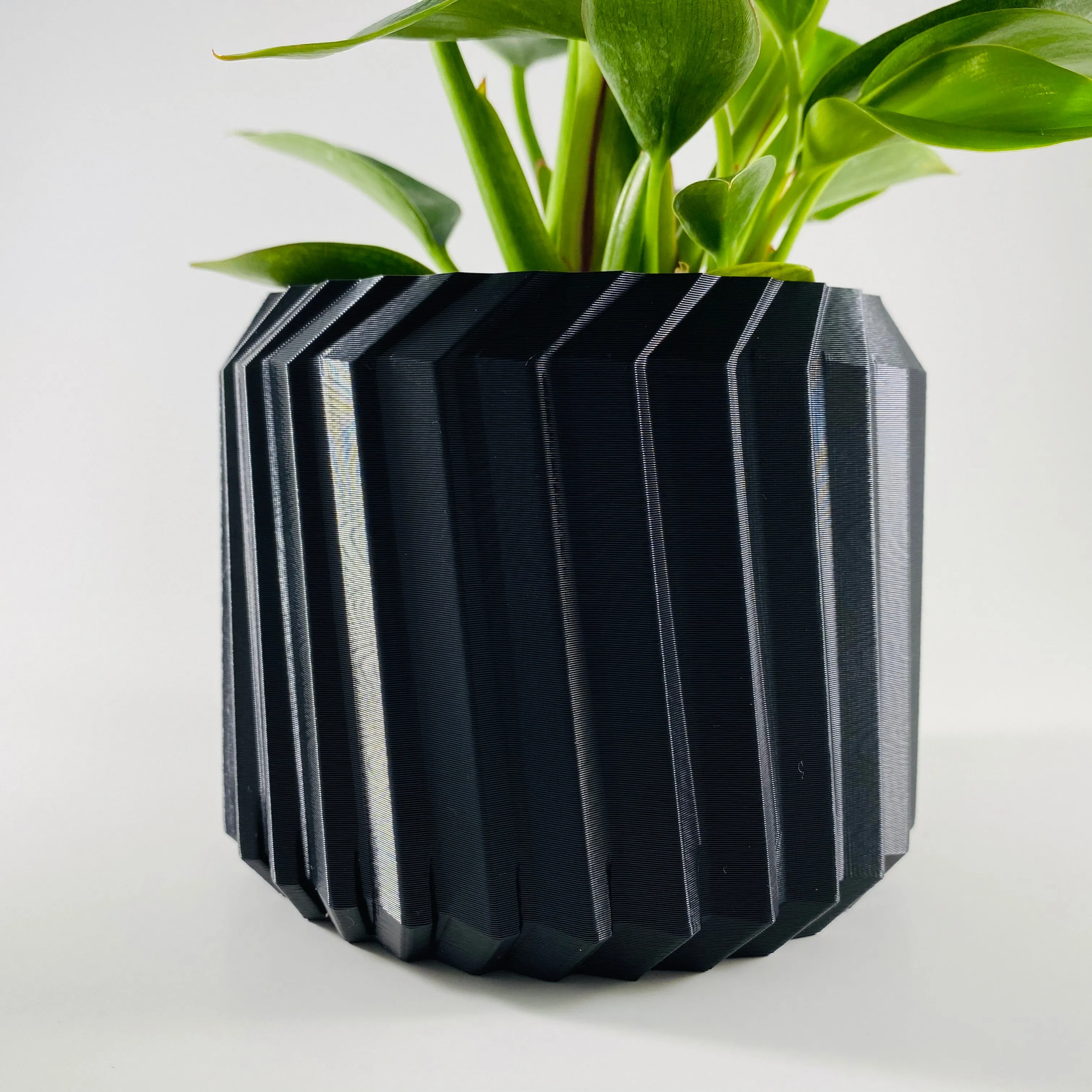 Modern Line Planter