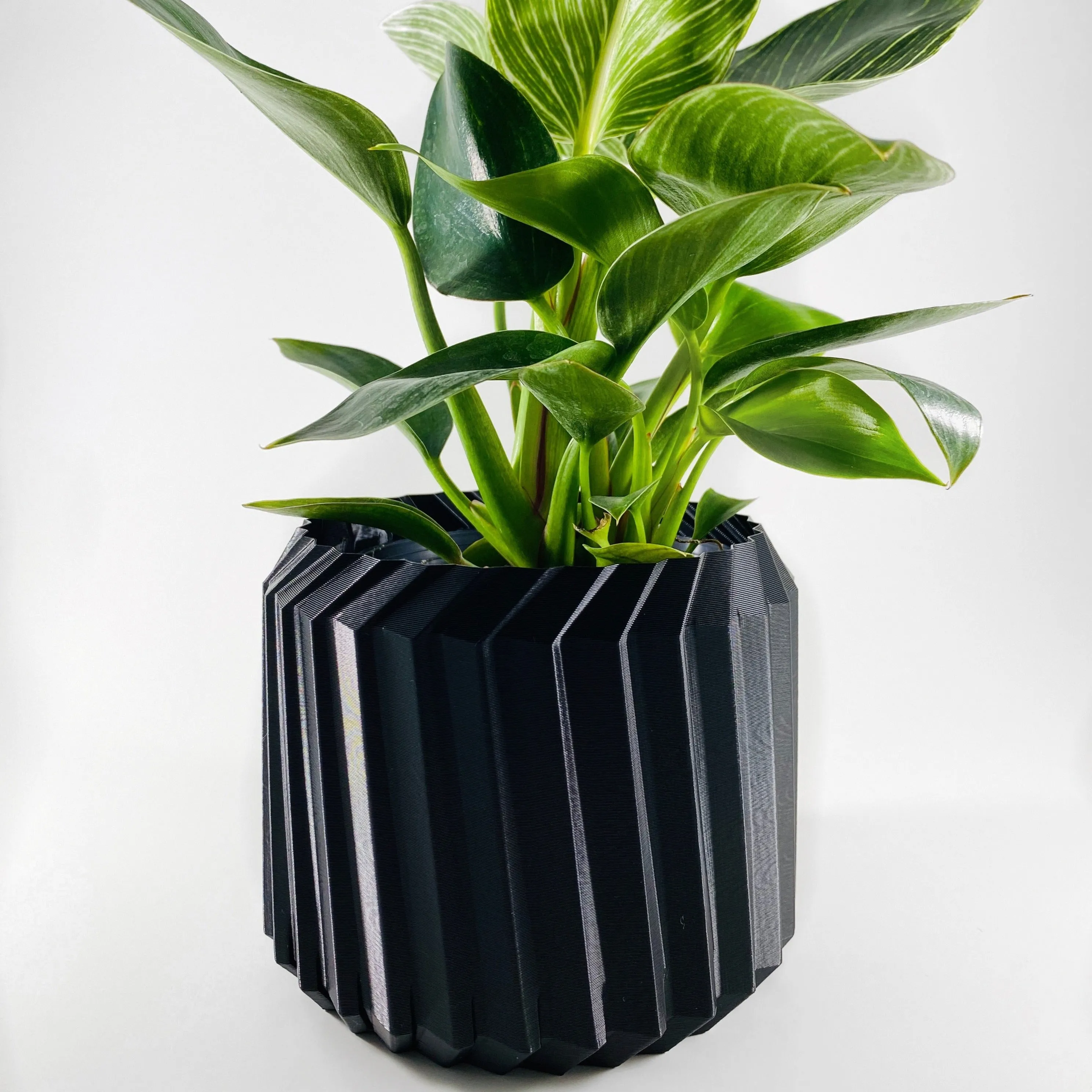 Modern Line Planter