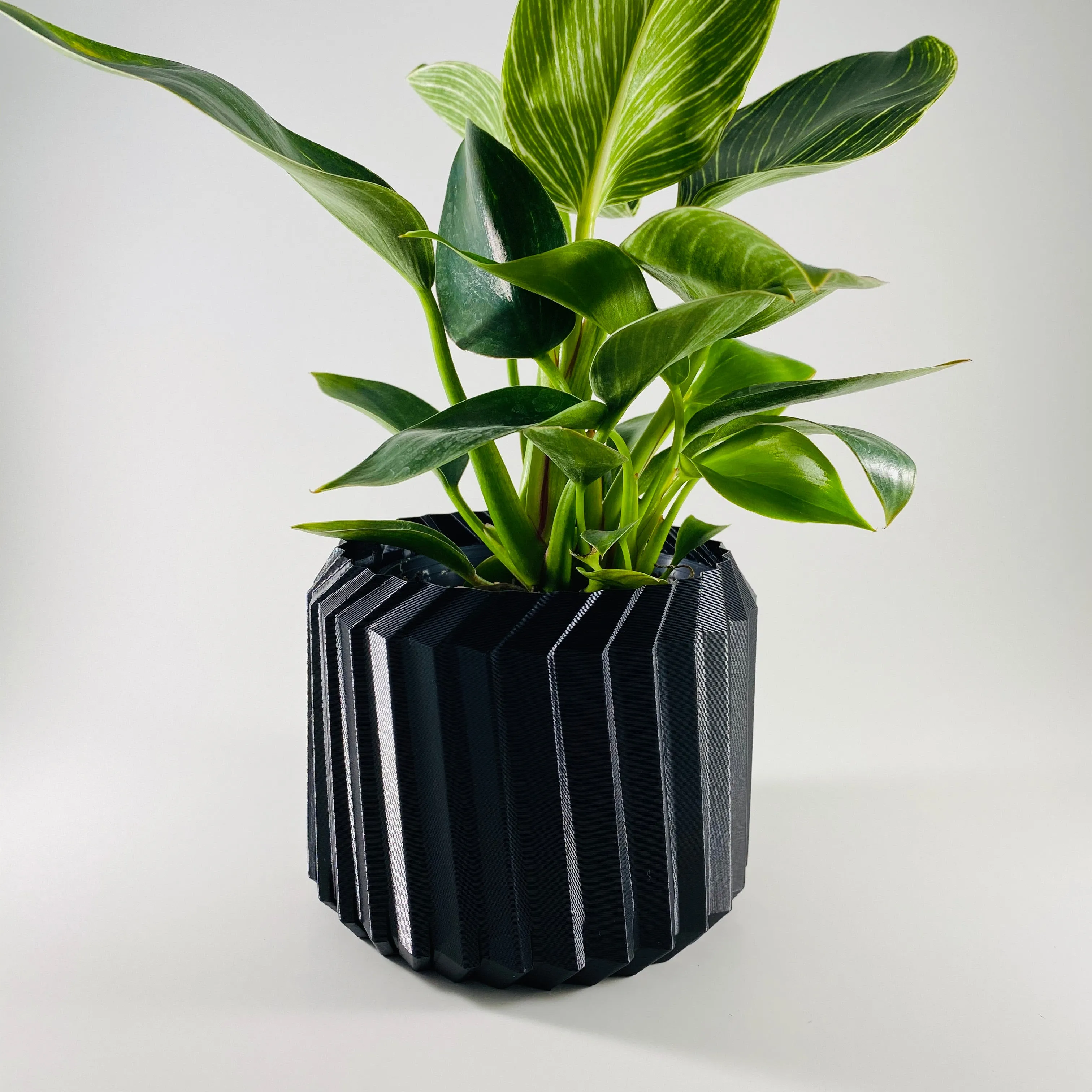Modern Line Planter
