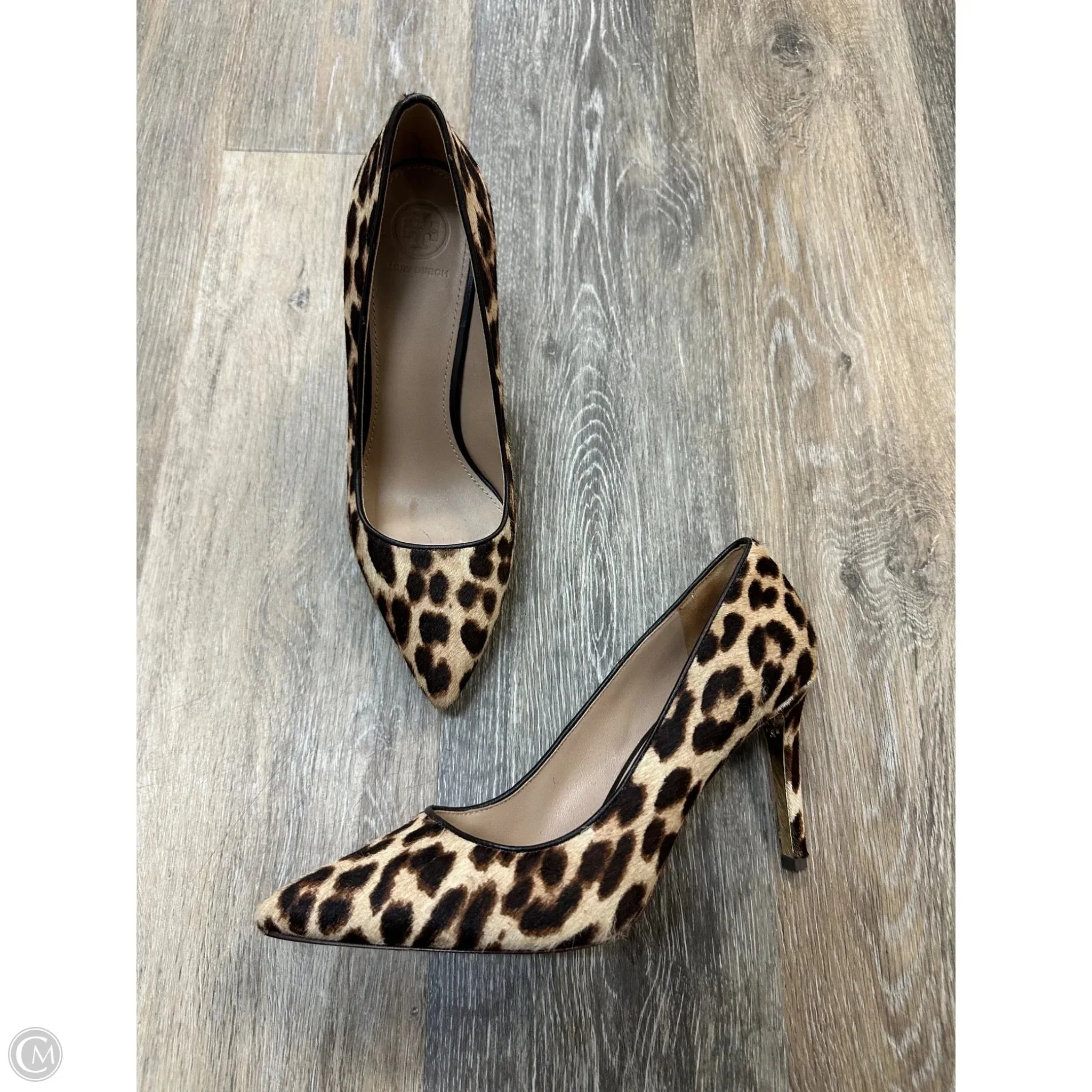 Shoes Designer By Tory Burch In Animal Print, Size: 8 design
