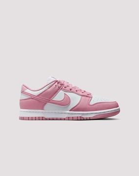 Nike Dunk Low Next Nature Weatherproof Protective Coating