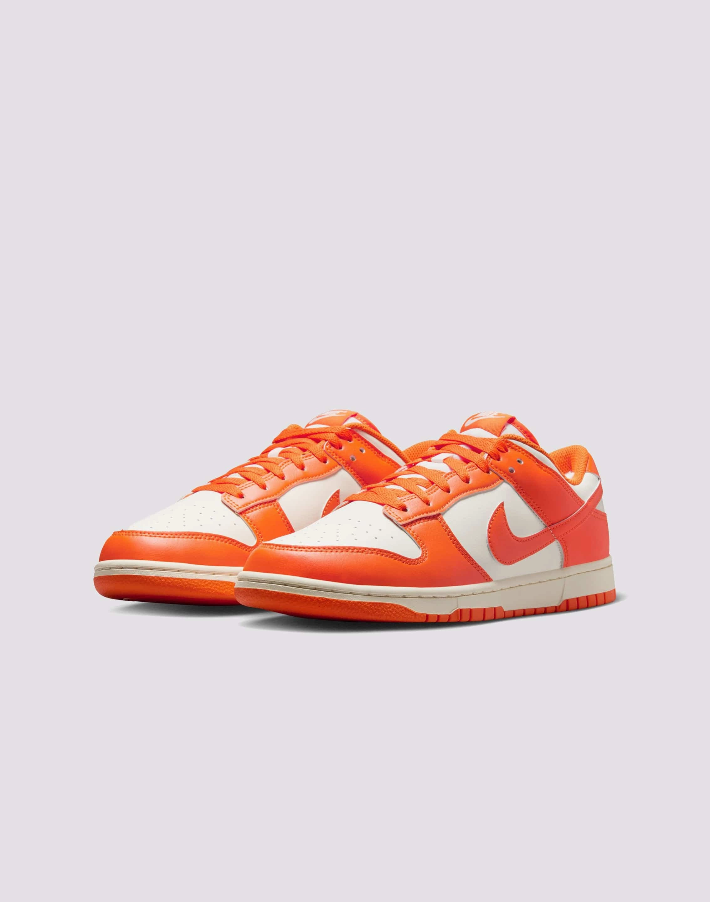 Nike Dunk Low Retro Ice Grip