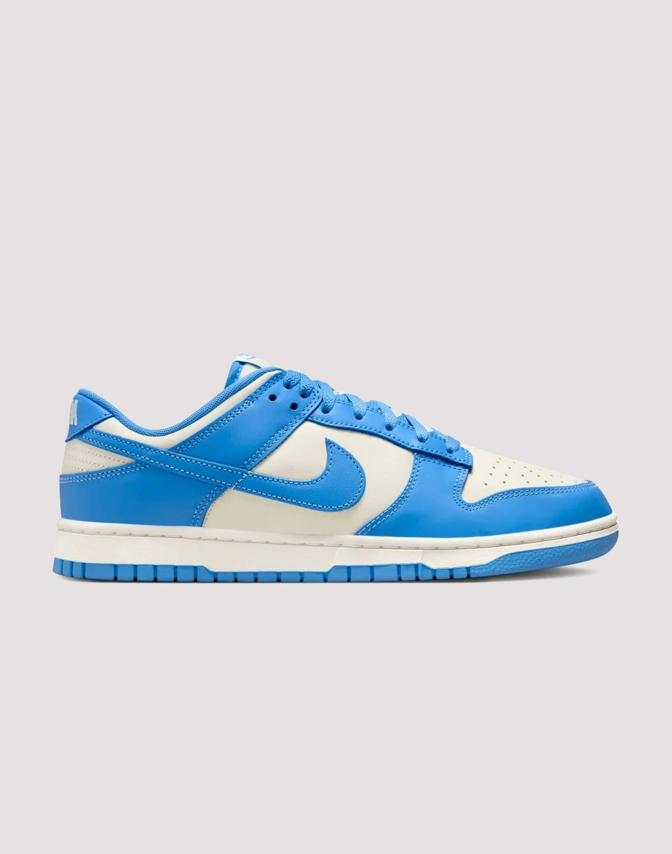 River Cross Kick Power Nike Dunk Low