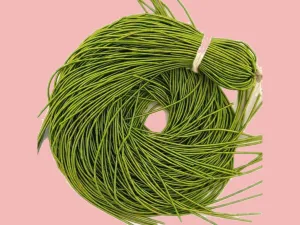 Ombre Parrot Green Dabka / French Wire (Wholesale)