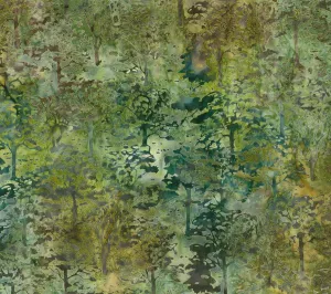 On The Wild Side - Trees Olive