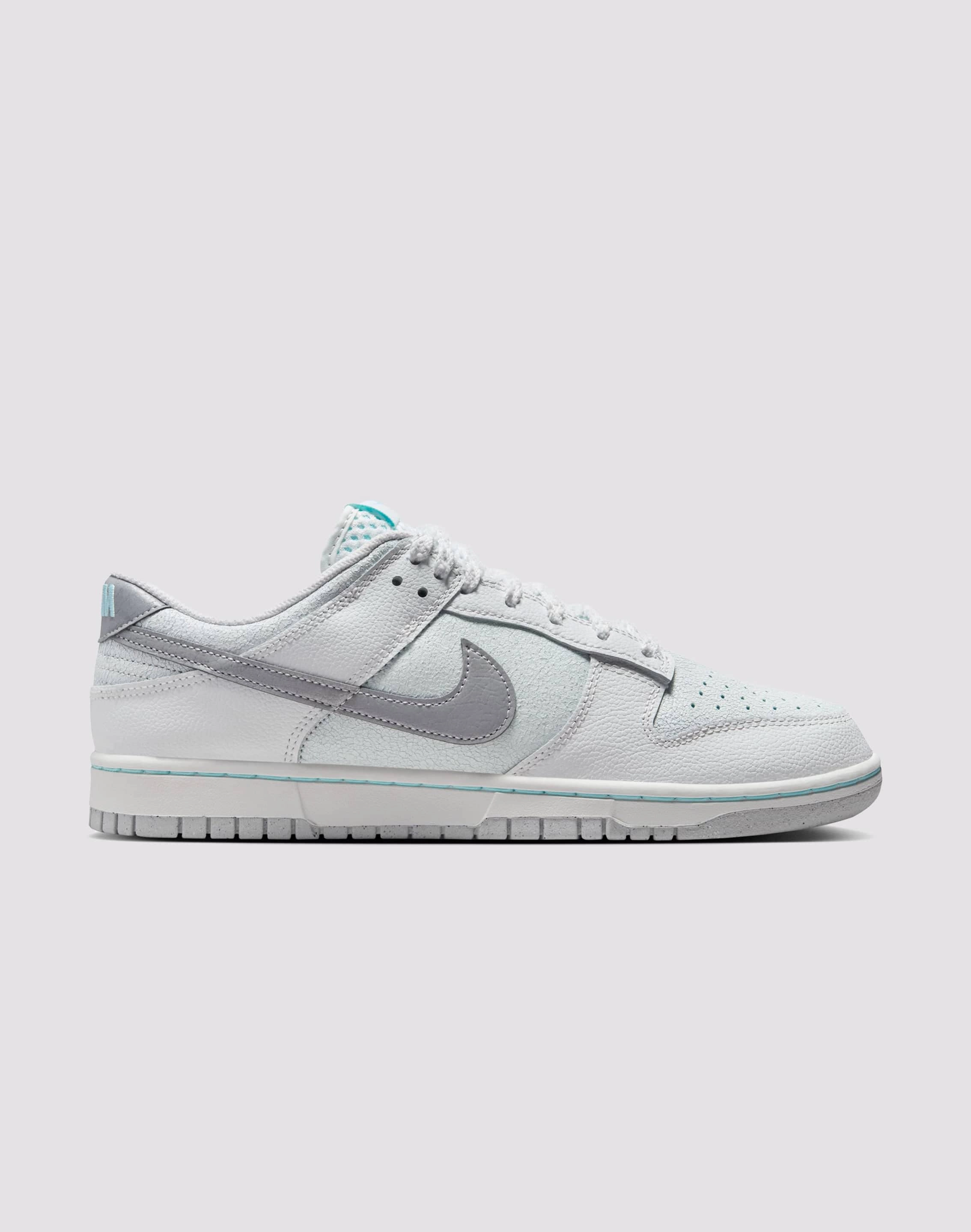 Youth Fresh Nike Dunk Low Retro