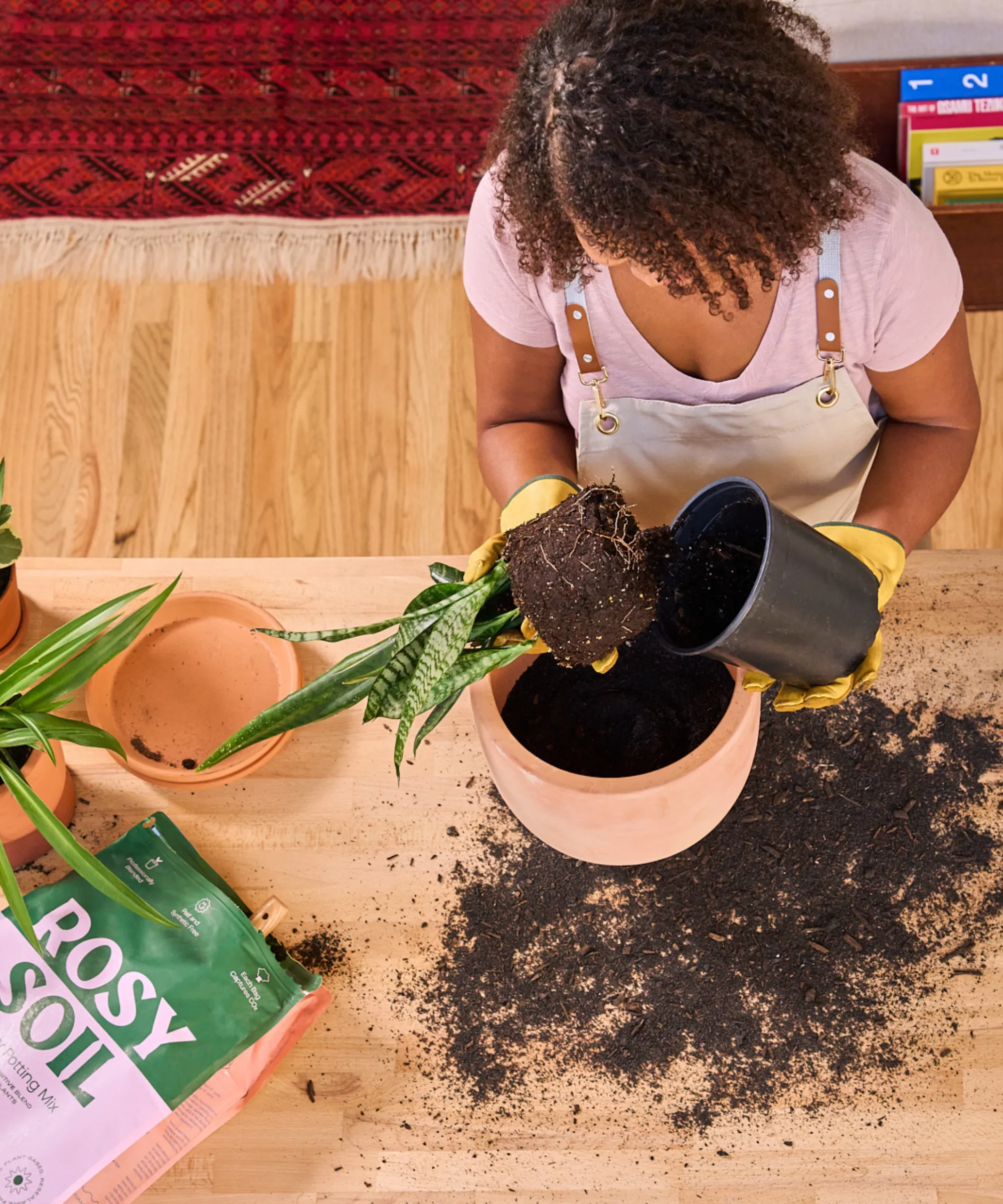 Potting Mix - made with Biochar