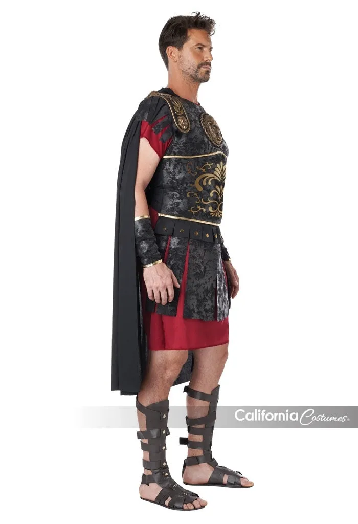 Roman Warrior Mens Costume (Adult)