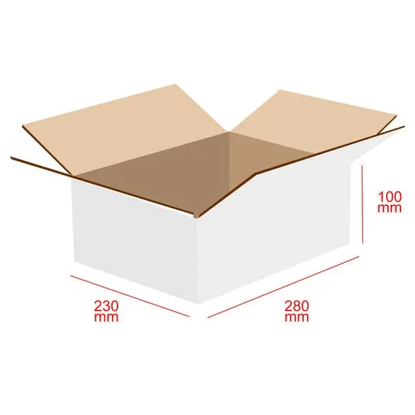 RSC Shipping Carton C4 - 100% Recyclable