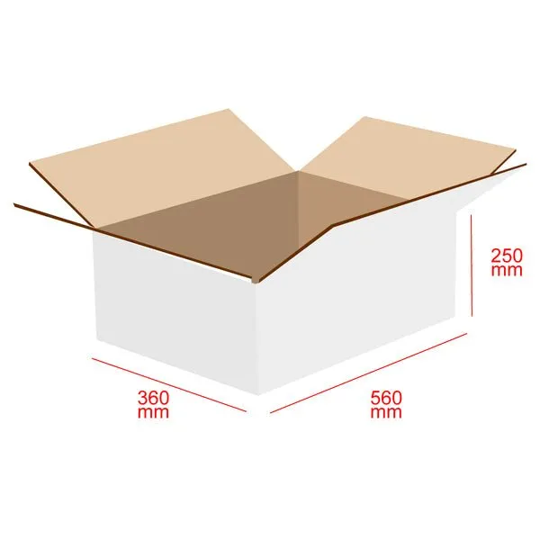 RSC Shipping Carton T4 - 100% Recyclable