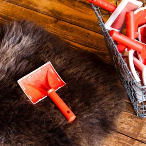 Rug Brush