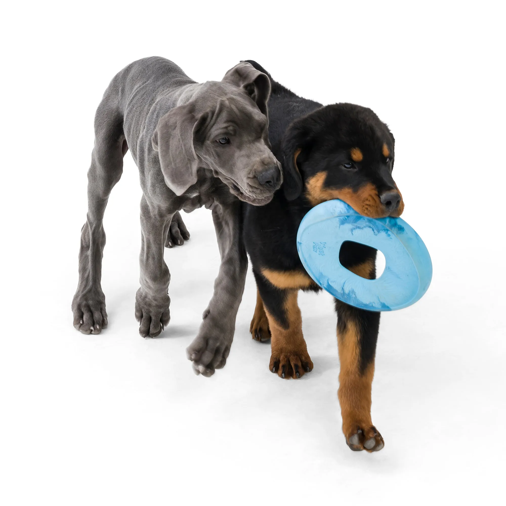 Sailz Eco-friendly Frisbee