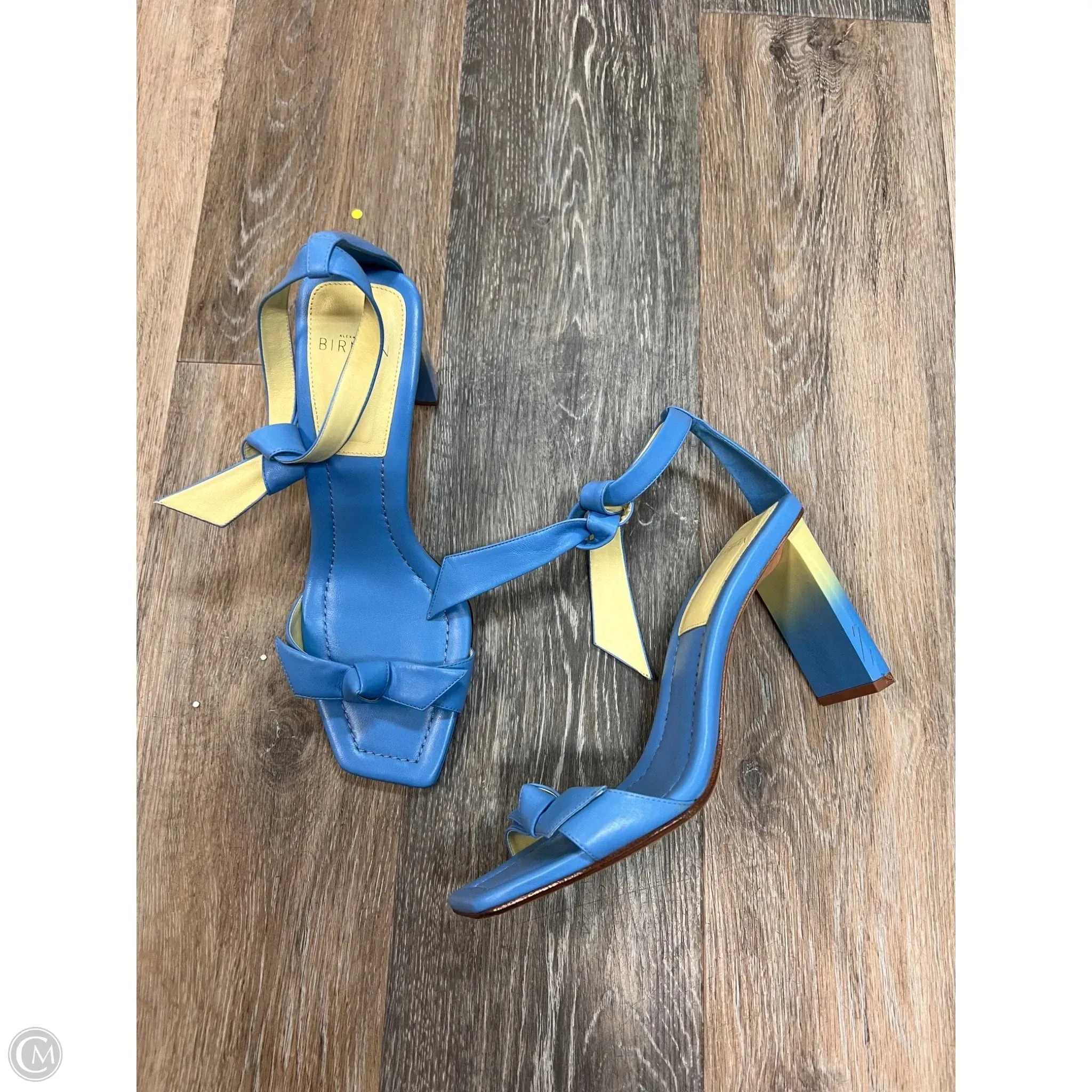 Sandals Designer By Alexandre Birman In Blue, Size: 10 Corner Style Dive Gear