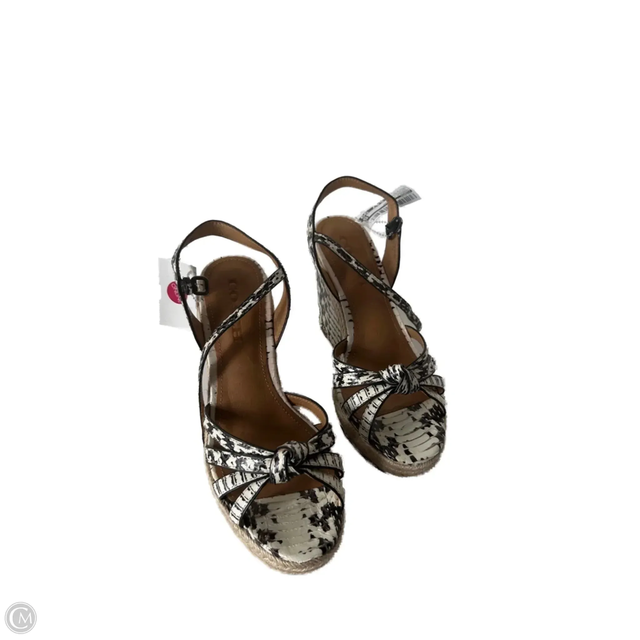 Sandals Designer By Coach In Snakeskin Print, Size: 7.5 Workout Recycled Rubber Composite