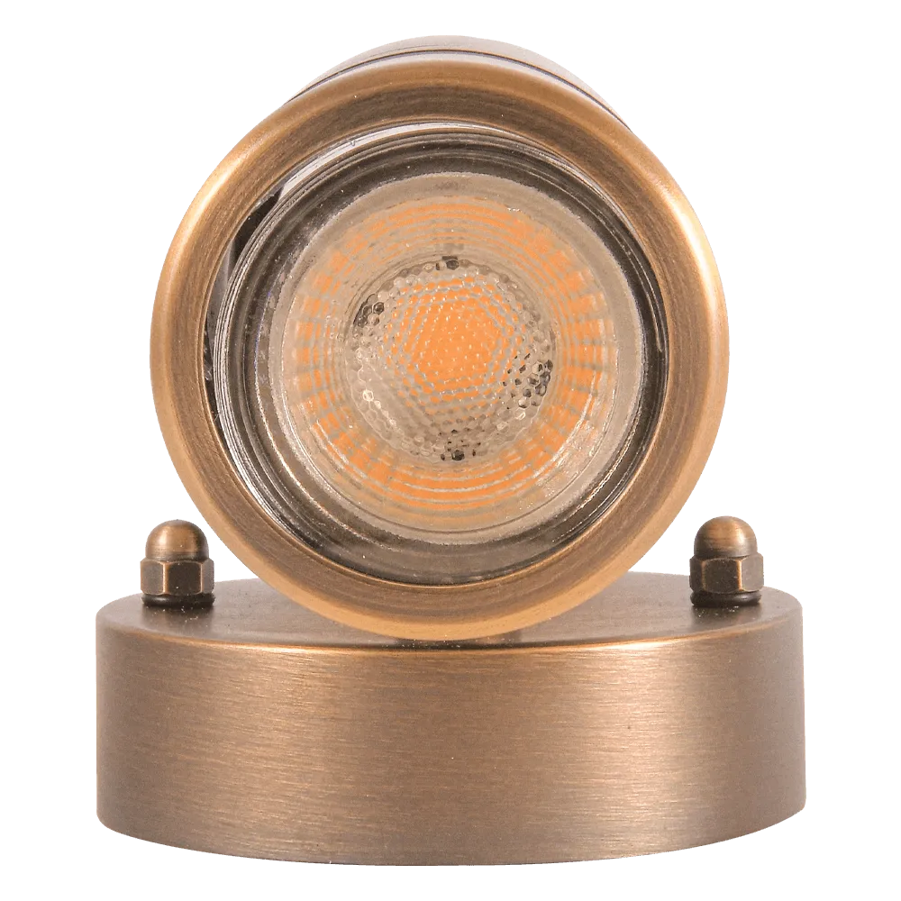 SCB05 LED Cylinder Up Down Light 2 Directional Brass Sconce Lighting