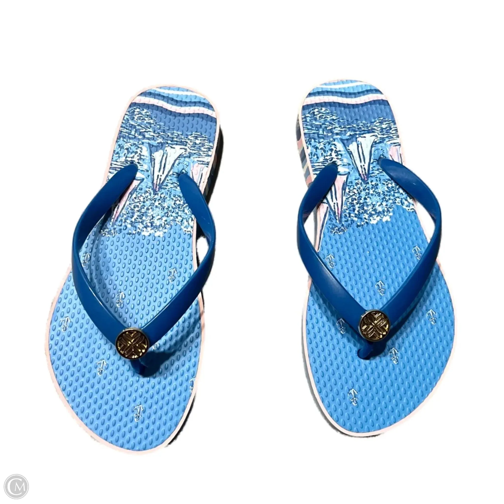 Coastal vibe Shoes Designer By Lilly Pulitzer In Blue & Pink, Size: 6