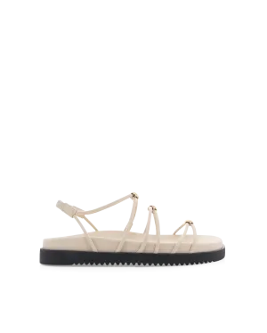 ATWOOD - BONE Preppy Tone Nordic Ease