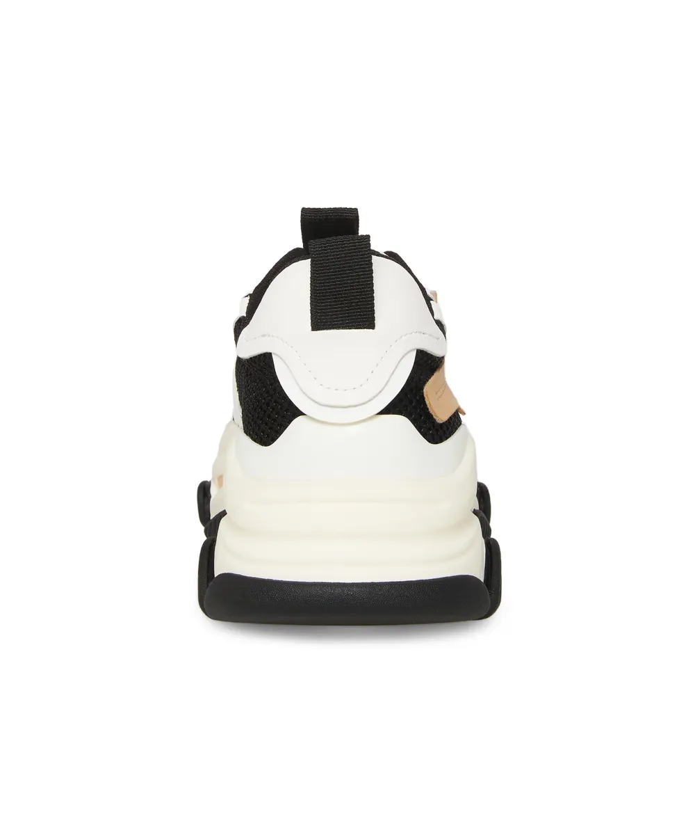 STEVE MADDEN POSSESSION-E SNEAKER