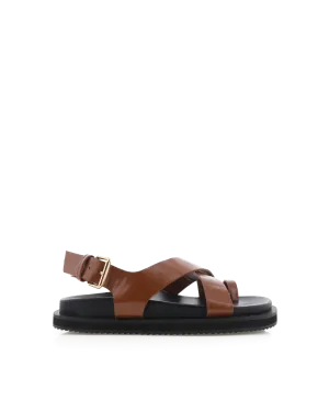 TENNIE - TAN-BLACK Field Glow